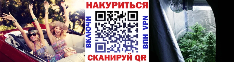 как найти закладки  ссылка на мегу ссылки  Бошки марихуана THC 21%  Алексеевка 
